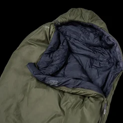 Alta Winter Long V, Sovepose