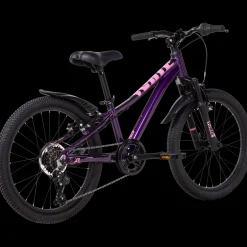 Ar Comp 200 6S Ane No 21, Terrengsykkel, Barn