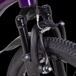 Ar Comp 200 6S Ane No 21, Terrengsykkel, Barn