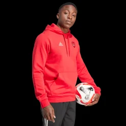 Arsenal Fc Dna Hoodie, Hettegenser, Herre