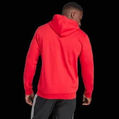 Arsenal Fc Dna Hoodie, Hettegenser, Herre