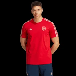 Arsenal Fc Dna Tee, T-Skjorte, Herre