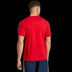 Arsenal Fc Dna Tee, T-Skjorte, Herre