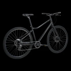 Ax 290 Ff 22, Flerbrukssykkel, Hybridsykkel, Herre