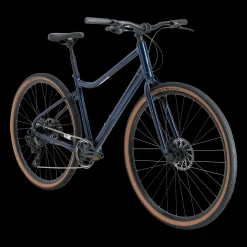 Ax+ 290 Ff 23, Hybridsykkel, Flerbrukssykkel, Herre