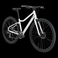 Ax 290 Ff Ane 23, Hybridysykkel, Dame