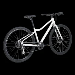 Ax 290 Ff Ane 23, Hybridysykkel, Dame