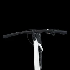 Ax 290 Ff Ane 23, Hybridysykkel, Dame