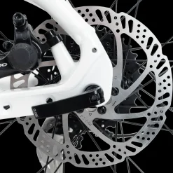 Ax 290 Ff Ane 23, Hybridysykkel, Dame