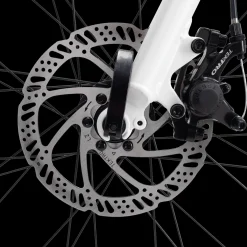 Ax 290 Ff Ane 23, Hybridysykkel, Dame