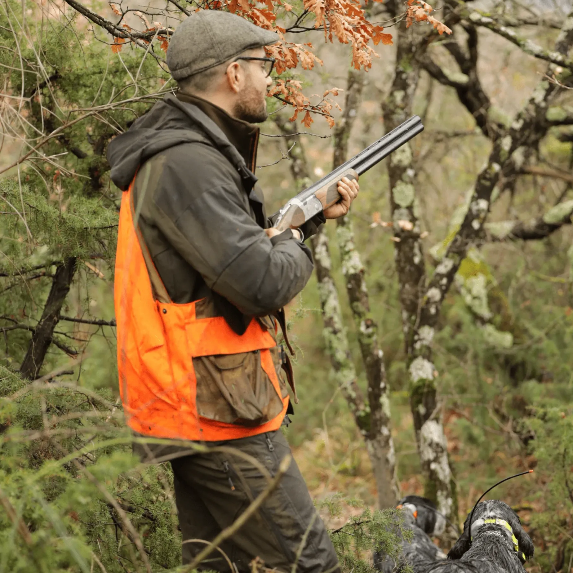 Beretta 690 Ultraleggero Rh 12, Hagle