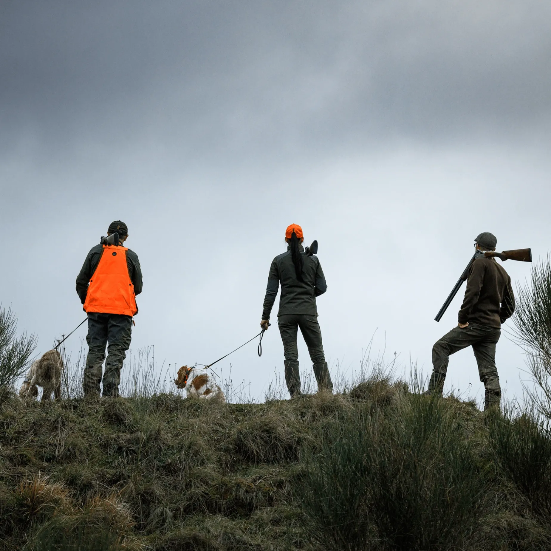 Beretta 690 Ultraleggero Rh 12, Hagle