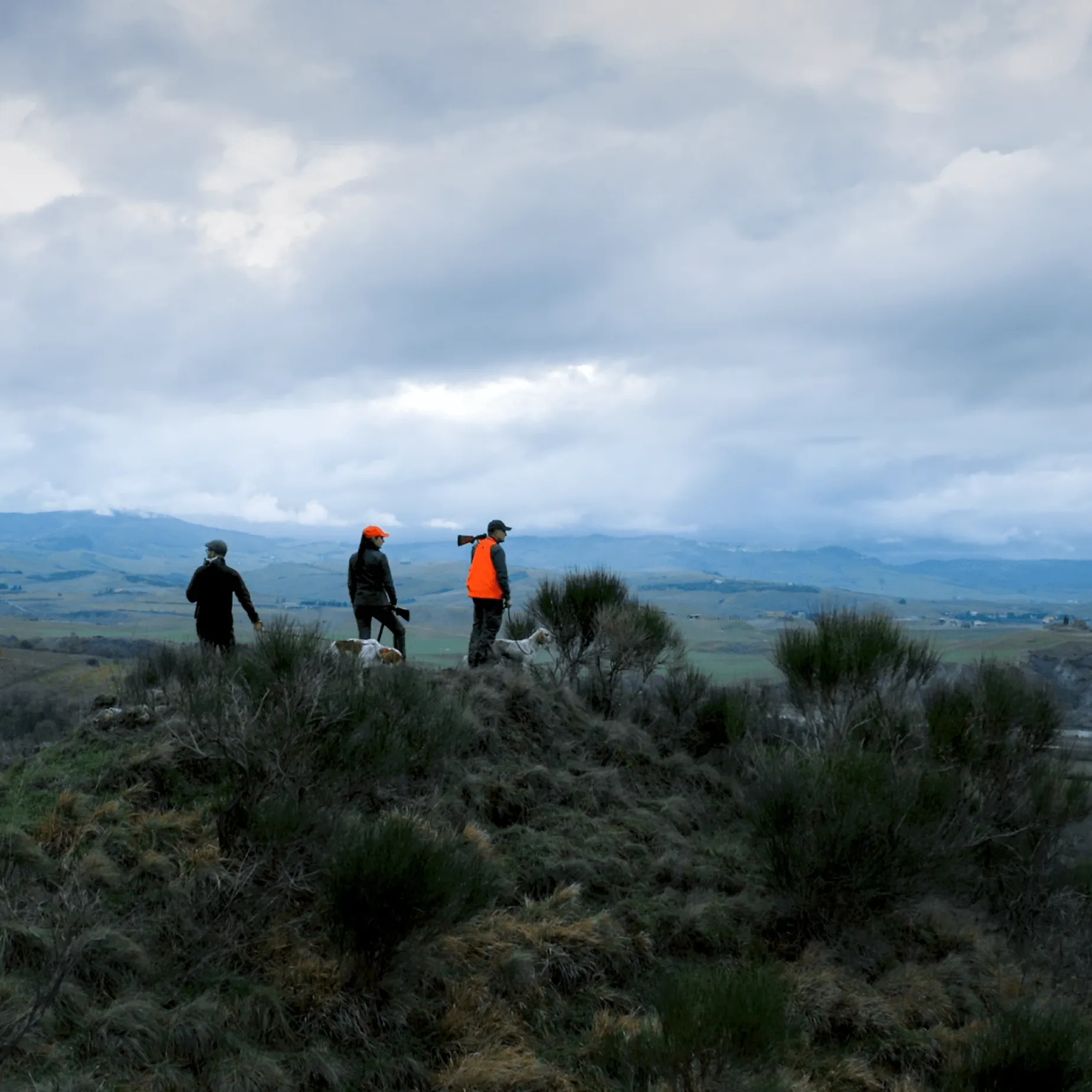 Beretta 690 Ultraleggero Rh 12, Hagle