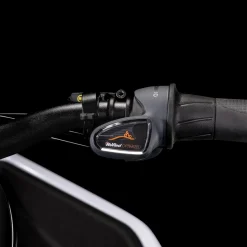 Cargo Hybrid Sport Dual Cargo 85Nm 1000Wh 23, Elsykkel, Lastesykkel, Unisex