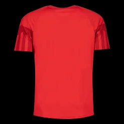 Denmark Home Jersey Ss / Wc22, Fotballdrakt Senior