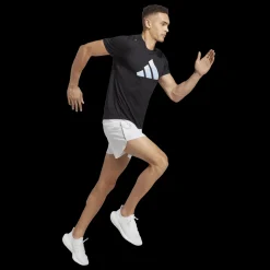 D4R Shorts, Lopeshorts Herre