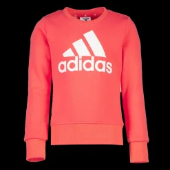 Essential Big Logo Sweatshirt, Collegegenser, Junior