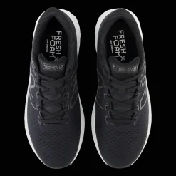 Evoz Stability, Lopesko, Herre