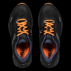 Frost, Piggsko Herre