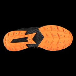 Frost, Piggsko Herre