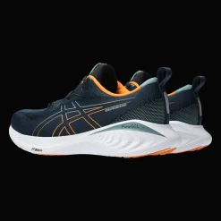 Gel-Cumulus 25, Lopesko, Herre