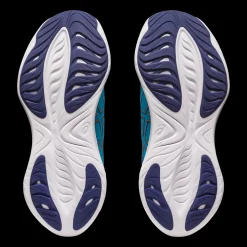 Gel-Cumulus 25, Lopesko, Herre