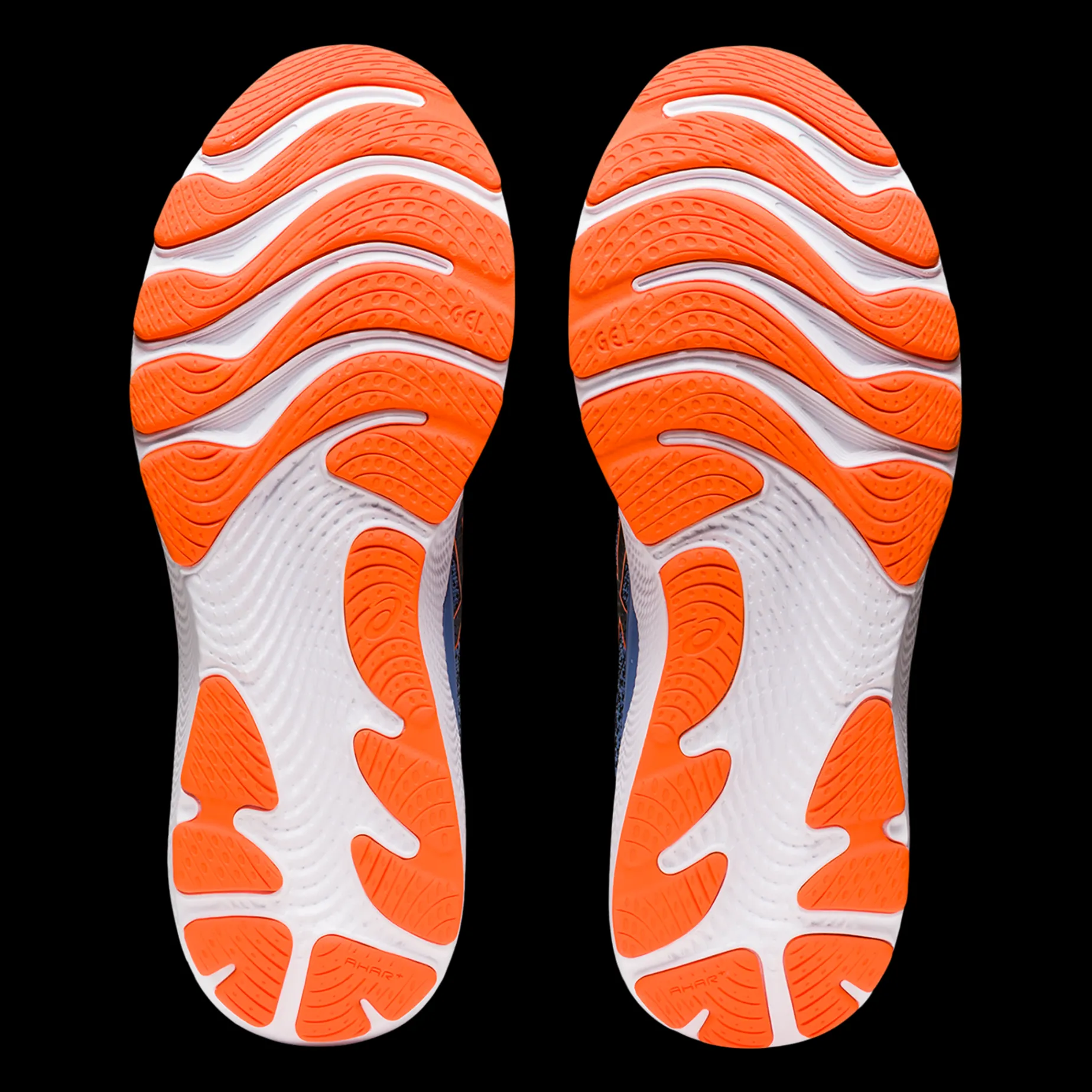 Gel-Cumulus 24 M, Lopesko Herre