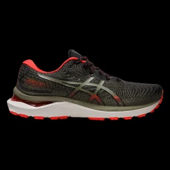 Gel-Cumulus 24 Tr, Lopesko Herre