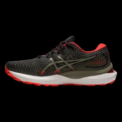 Gel-Cumulus 24 Tr, Lopesko Herre