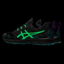 Gel-Fujisetsu 3 Gore-Tex, Terrenglopesko Herre