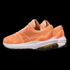 Gt-1000 11 Gs, Lopesko, Junior