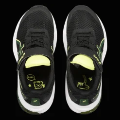 Gt-1000 12 Ps, Lopesko Barn