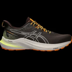 Gt-2000 12 Tr, Lopesko, Herre