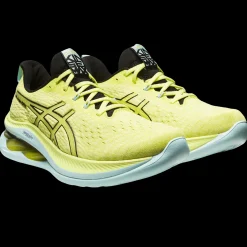 Kinsei Max, Lopesko, Herre