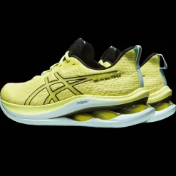 Kinsei Max, Lopesko, Herre