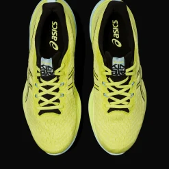 Kinsei Max, Lopesko, Herre