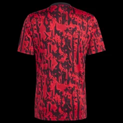 Manchester United Pre-Match Jersey 2023/24, Fotballtroye, Herre