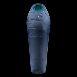 Musca -26, Sovepose Dame