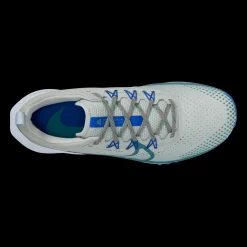 Nike React Pegasus Trail 4, Terrenglopesko Herre