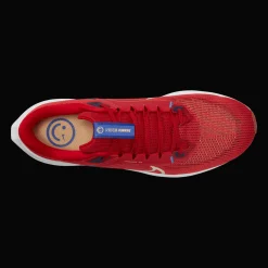 Pegasus 40, Lopesko, Herre