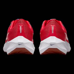 Pegasus 40, Lopesko, Herre