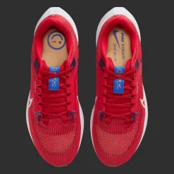 Pegasus 40, Lopesko, Herre