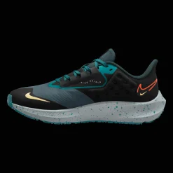 Pegasus 39 Shield, Lopesko, Herre