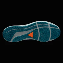 Pegasus 39 Shield, Lopesko, Herre