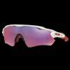 Radar Ev Path Pol White W/Prizm Road, Multisportbrille