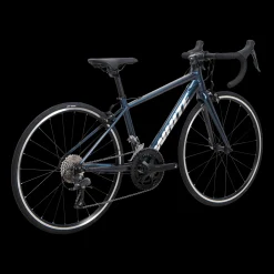 Rr 240 Ltd 2X8 22, Landeveissykkel Junior