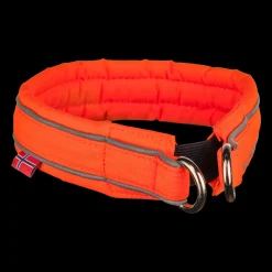 Safe Collar, Hundehalsband