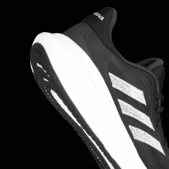 Supernova 3, Lopesko, Herre