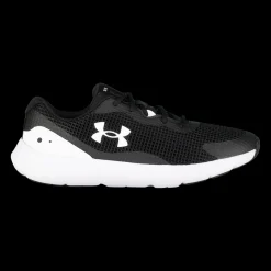 Surge 3, Lopesko Herre