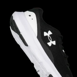 Surge 3, Lopesko Herre